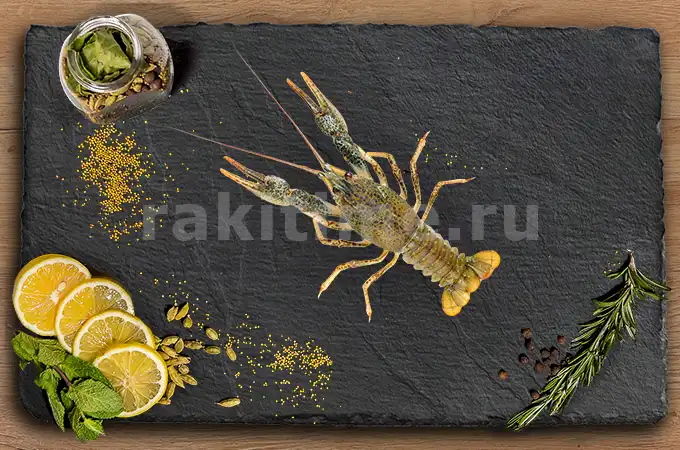 живые раки