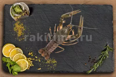 Живые  Раки №2 средние