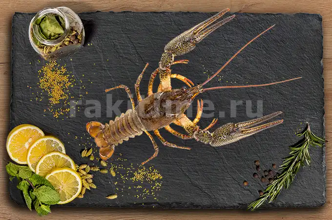 живые раки