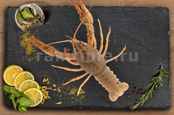 живые раки