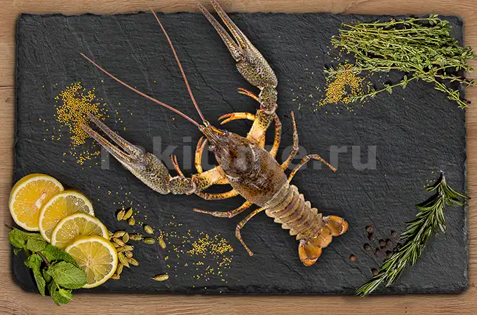 раки живые